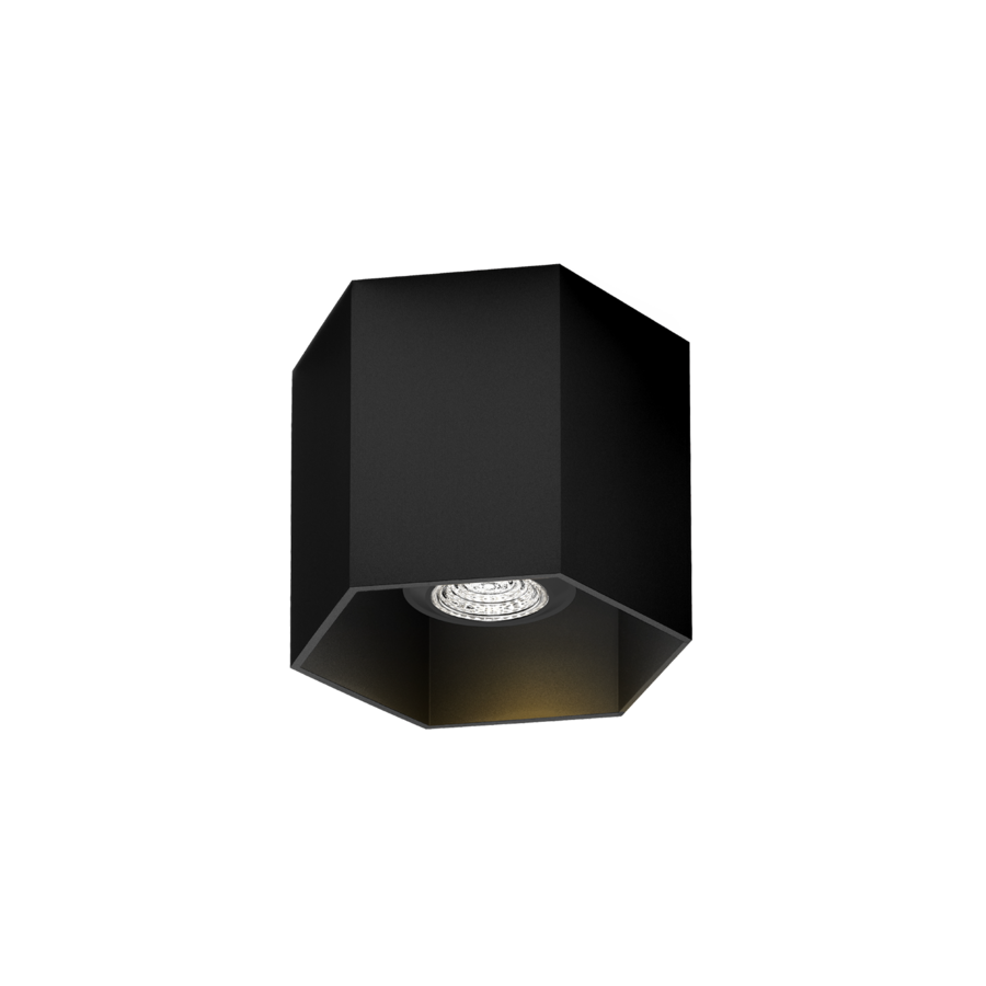 Hexo Surface 1.0 PAR16 Hexo Surface 1.0 PAR16
