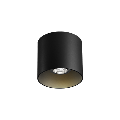 Ray Ceiling Surf 1.0 PAR16 Black